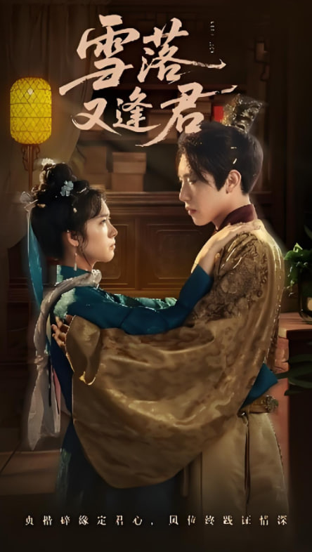 雪落又逢君(全集)